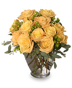 Roses in Rexburg
