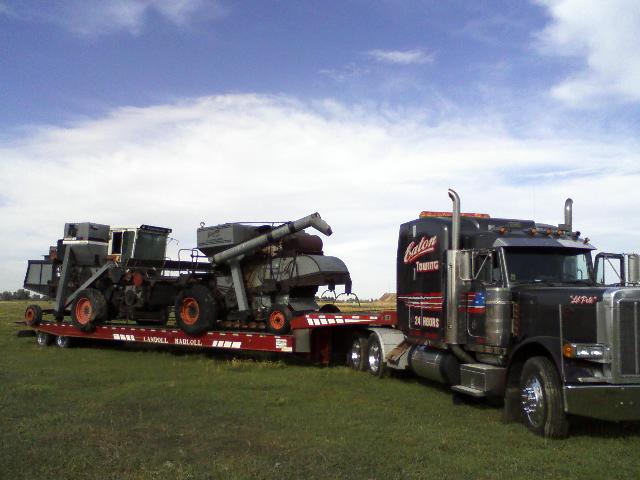 Towing in Shelly