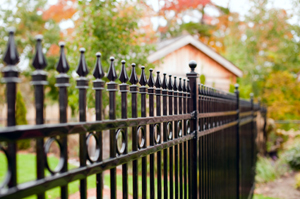 Ogden Iron Fence